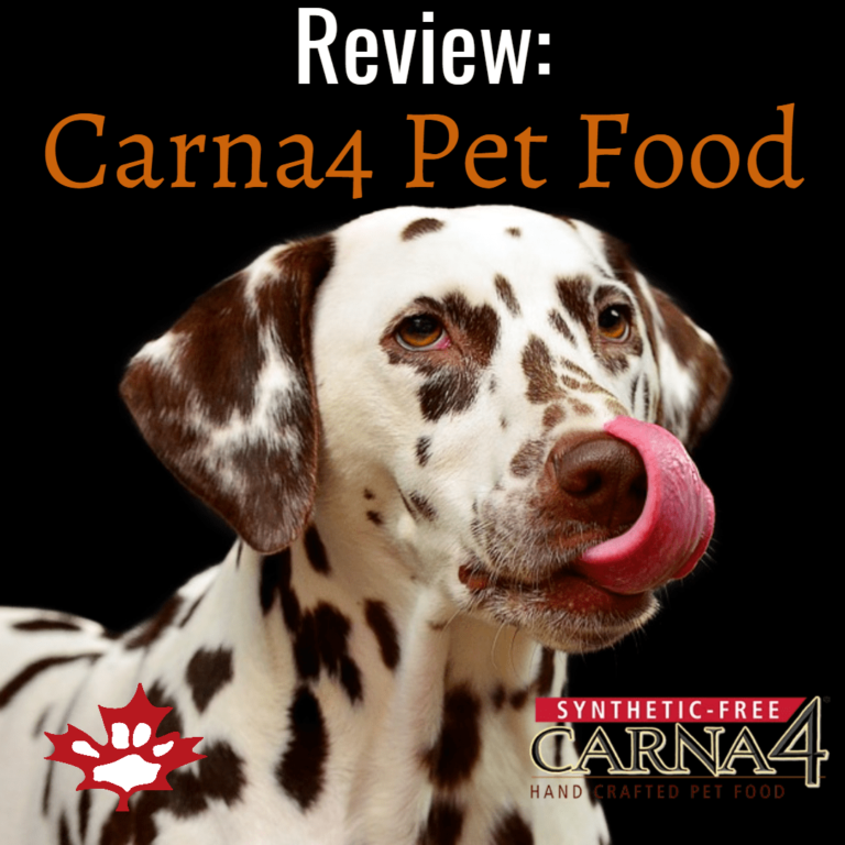 Carna4 Pet Meals Evaluate | Canadian Pet Connection