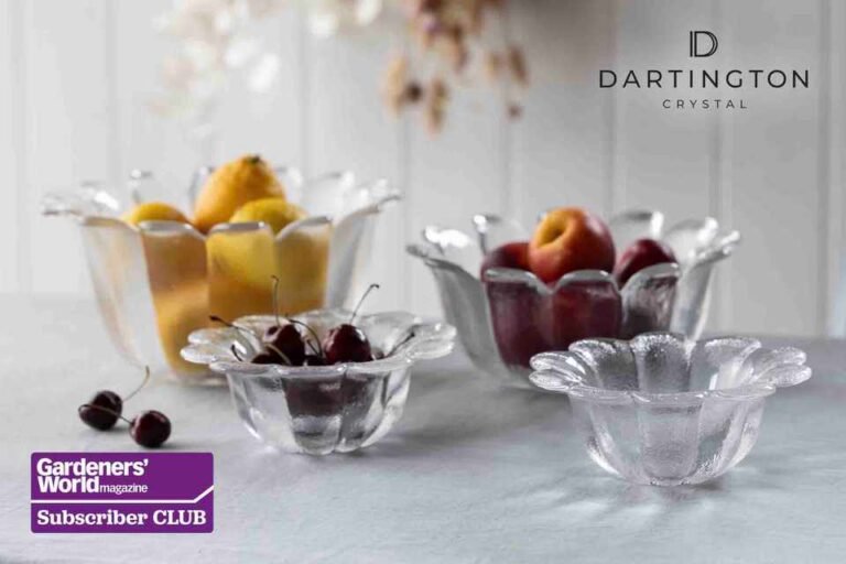 Win the Heirloom Diasy assortment by Dartington Crystal, price £145