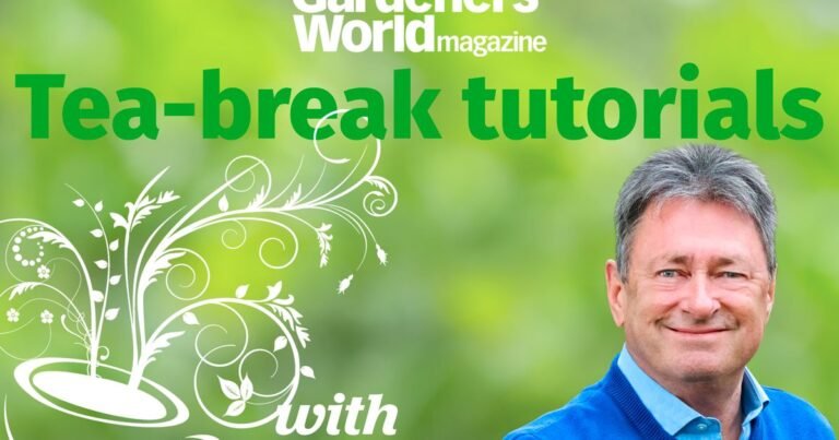 Tea Break Tutorials | BBC Gardeners World Journal