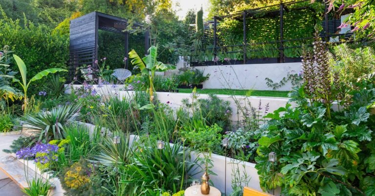 6 Tiered Backyard Concepts | BBC Gardeners World Journal