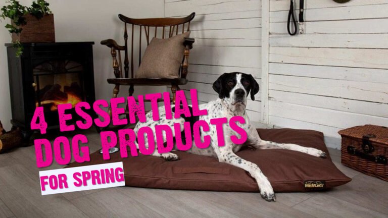 4 Important Canine Merchandise for Spring