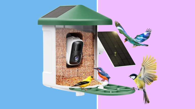 Amazon spring sale: This Harymor sensible hen feeder is 40% off