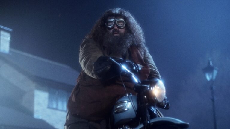 What Bike Does Hagrid Trip In Harry Potter?